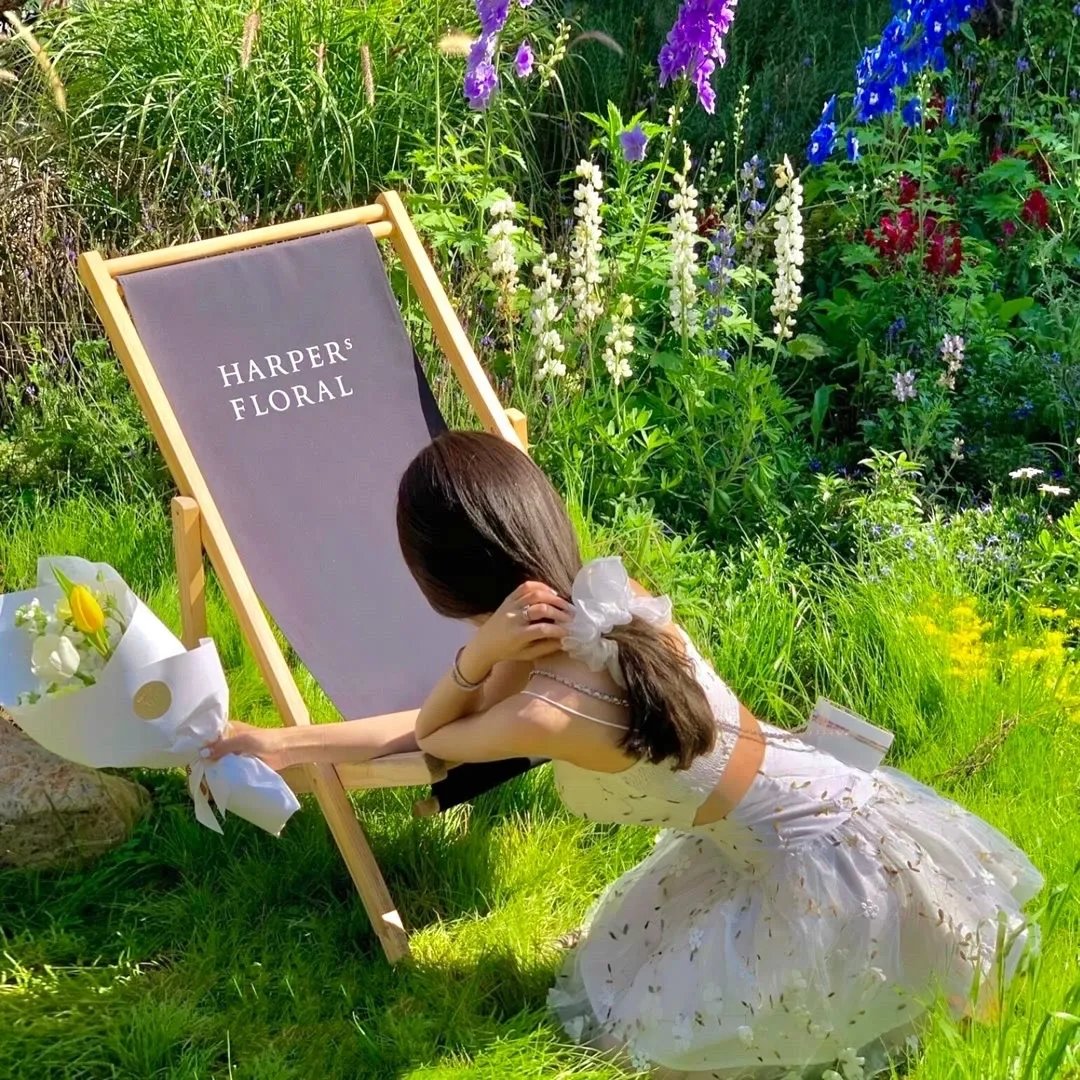 高分少女第一季